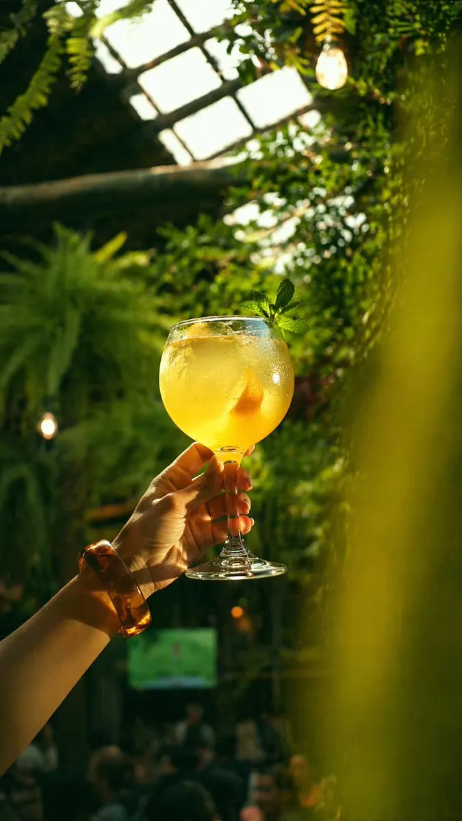 Reference image: Golden Cocktail in Greenhouse Bar