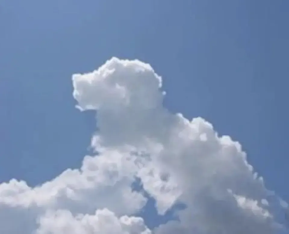 Reference image: Cloud shape doodle generation