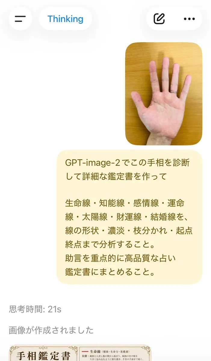 Reference image: Palm Reading Diagnosis Report